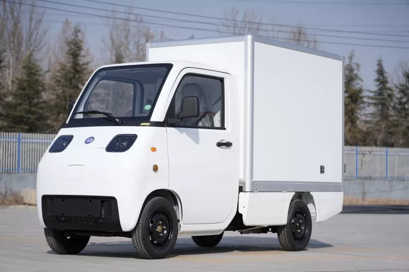 electric vehicle